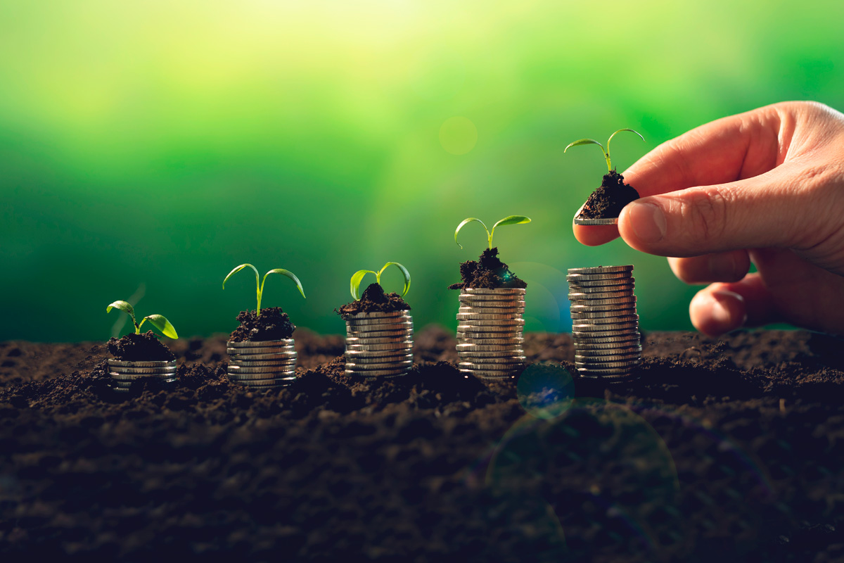 Imagem em close da mão de um empreendedor empilhando colunas de moedas com tamanho crescente e pequenas mudas de plantas sobre cada uma delas.
